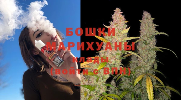 гидра Барнаул
