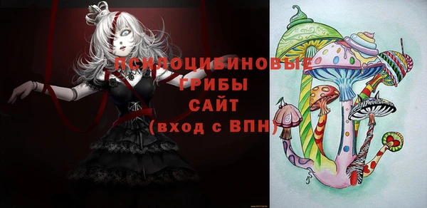хмурый Кулебаки
